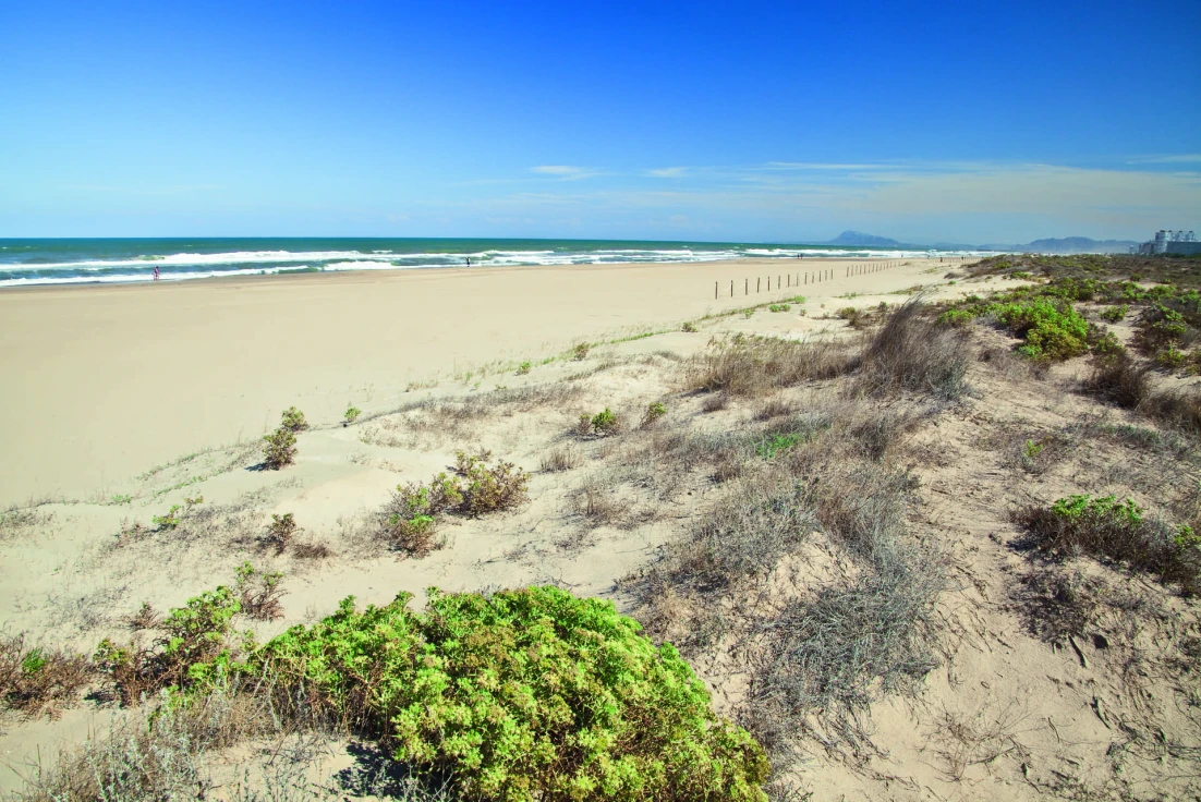 Xeraco recupera parte de la playa de l’Auir frente a Gandia