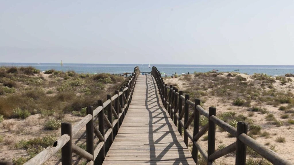 Abierto el plazo para presentar alegaciones al plan de restauración dunar en la playa de l’Auir
