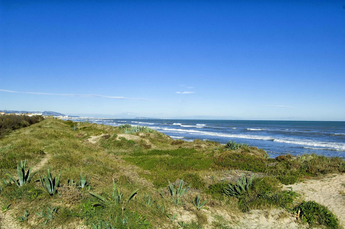 Oliva reabre sus cuatro playas tras los nuevos análisis