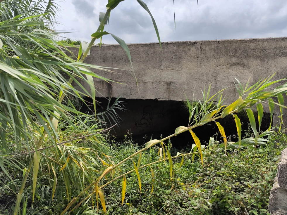 Un vecino de Rafelcofer denuncia en 'La Fosforera' el estado de los barrancos