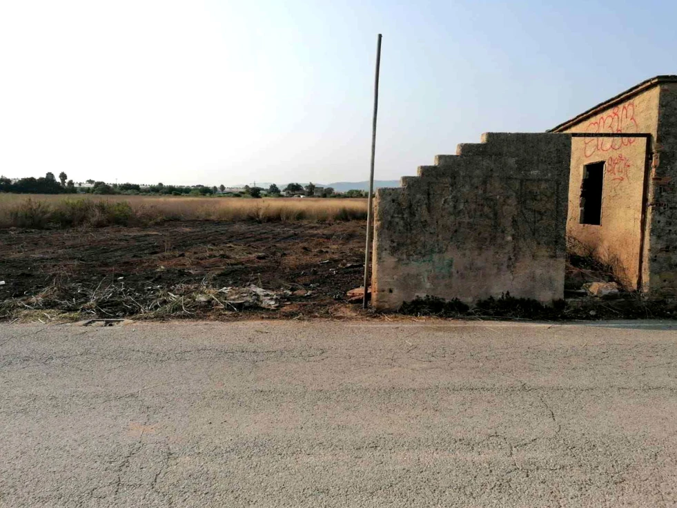Denuncian que las parcelas y bancales abandonados en Gandia se convierten en un polvorín