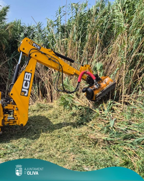 Oliva limpia caminos y ríos para prevenir inundaciones