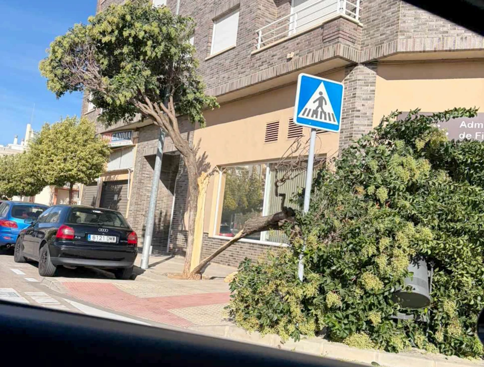 Hasta 77 km/h se han alcanzado en Oliva en una jornada donde hay alerta por fuertes rachas de viento en la Safor