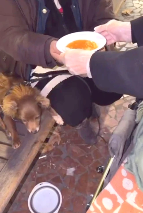 Vox Gandia refuerza su compromiso social con una acción solidaria en apoyo a las personas sin hogar