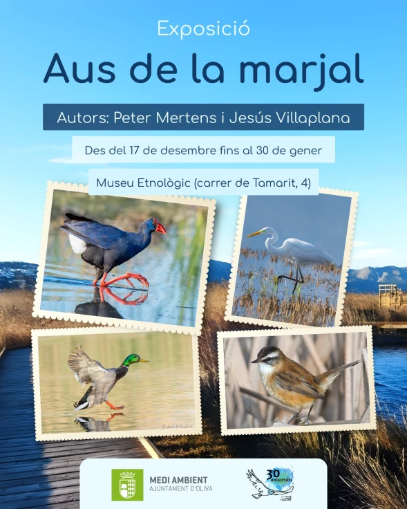 Oliva inaugura la exposición fotográfica 'Aves del marjal', con motivo del 30 aniversario del parque natural del marjal Pego-Oliva