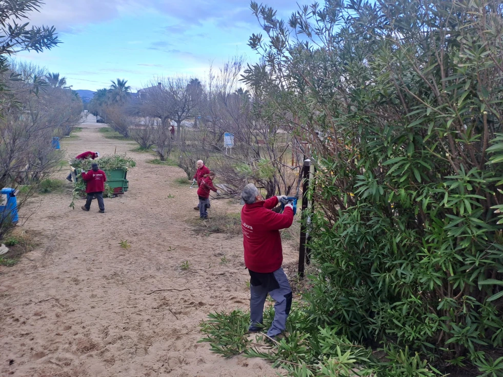 Oliva actúa en la mejora ambiental del talud de Santa Anna a través del Taller de Ocupación