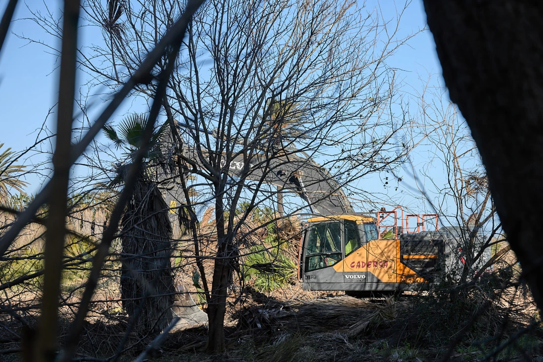 Gandia inicia las obras para que la playa del Auir vuelva a su esencia natural