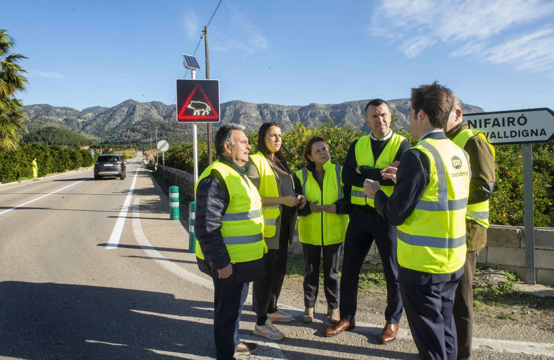 La Diputación ensaya en la Safor un sistema inteligente que detecta jabalíes y activa señales luminosas para evitar accidentes en las carreteras