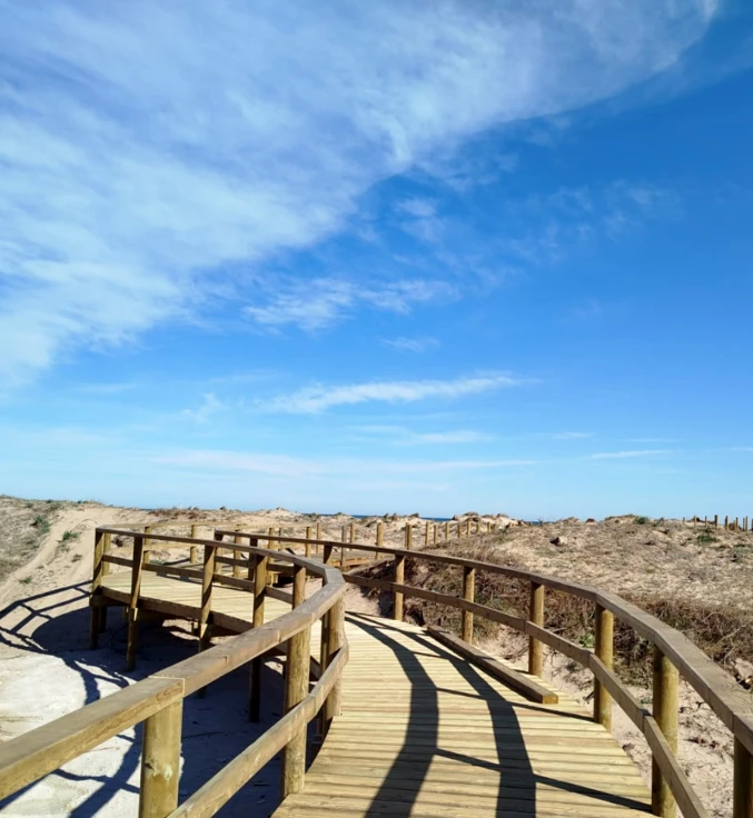 Comienza la instalación de las nuevas pasarelas dunares en la playa de Oliva