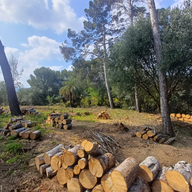 Oliva continúa con la de prevención de incendios forestales con las fajas perimetrales en Santa Anna, Tossal de la Creu y Font del Garrofer