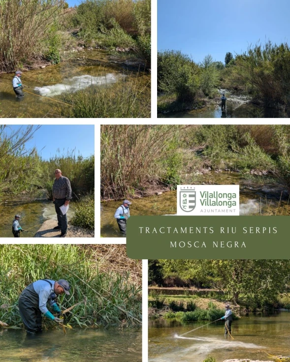 Villalonga activa la campaña contra la mosca negra en el río Serpis