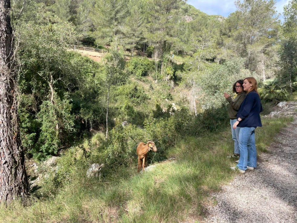 Compromís denuncia la falta de apoyo institucional a la prevención de incendios