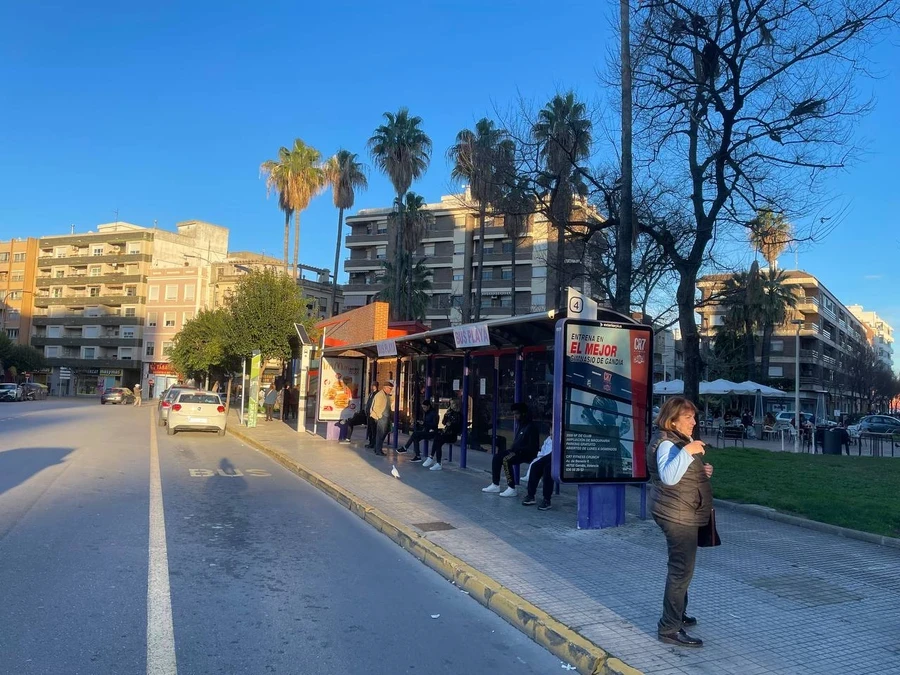 Gandia somete a exposición pública su nuevo servicio de transporte urbano