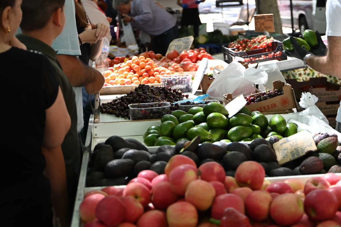 Los comercios de Oliva podrán abrir los domingos y festivos durante el verano