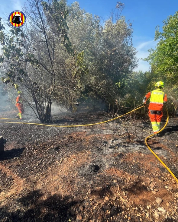 Los bomberos sofocaron ayer un incendio de vegetación en el Grau de Gandia
