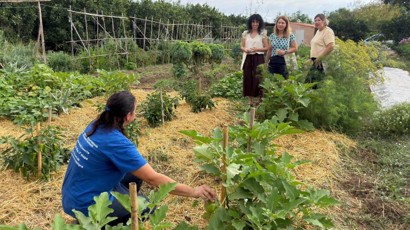 Jornada de agricultura ecológica en Tavernes