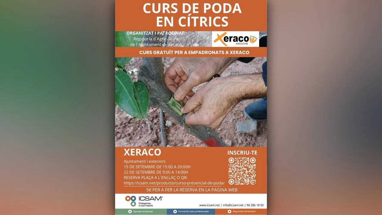 Xeraco organiza un curso gratuito de poda en cítricos