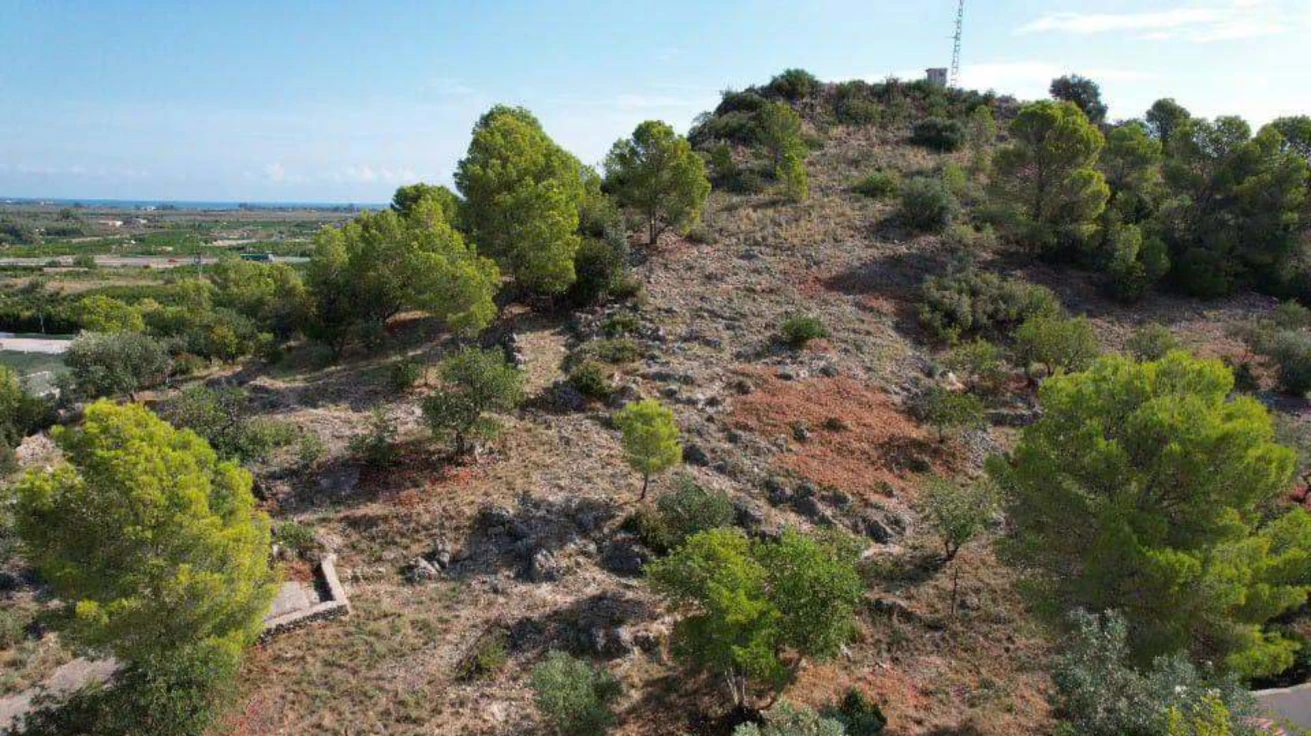 Xeresa acondiciona sus espacios verdes para prevenir incendios