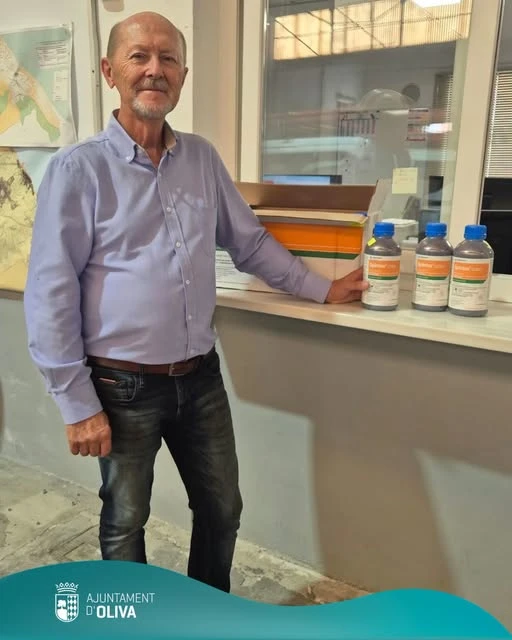 Oliva inicia el reparto del tratamiento contra la mosca del Mediterráneo