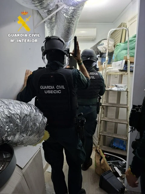La Guardia Civil desmantela una plantación de marihuana en Rafelcofer