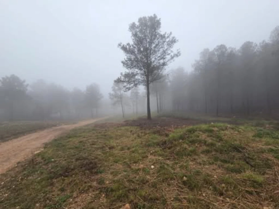 Concluyen las labores de prevención contra incendios forestales en Benifairó