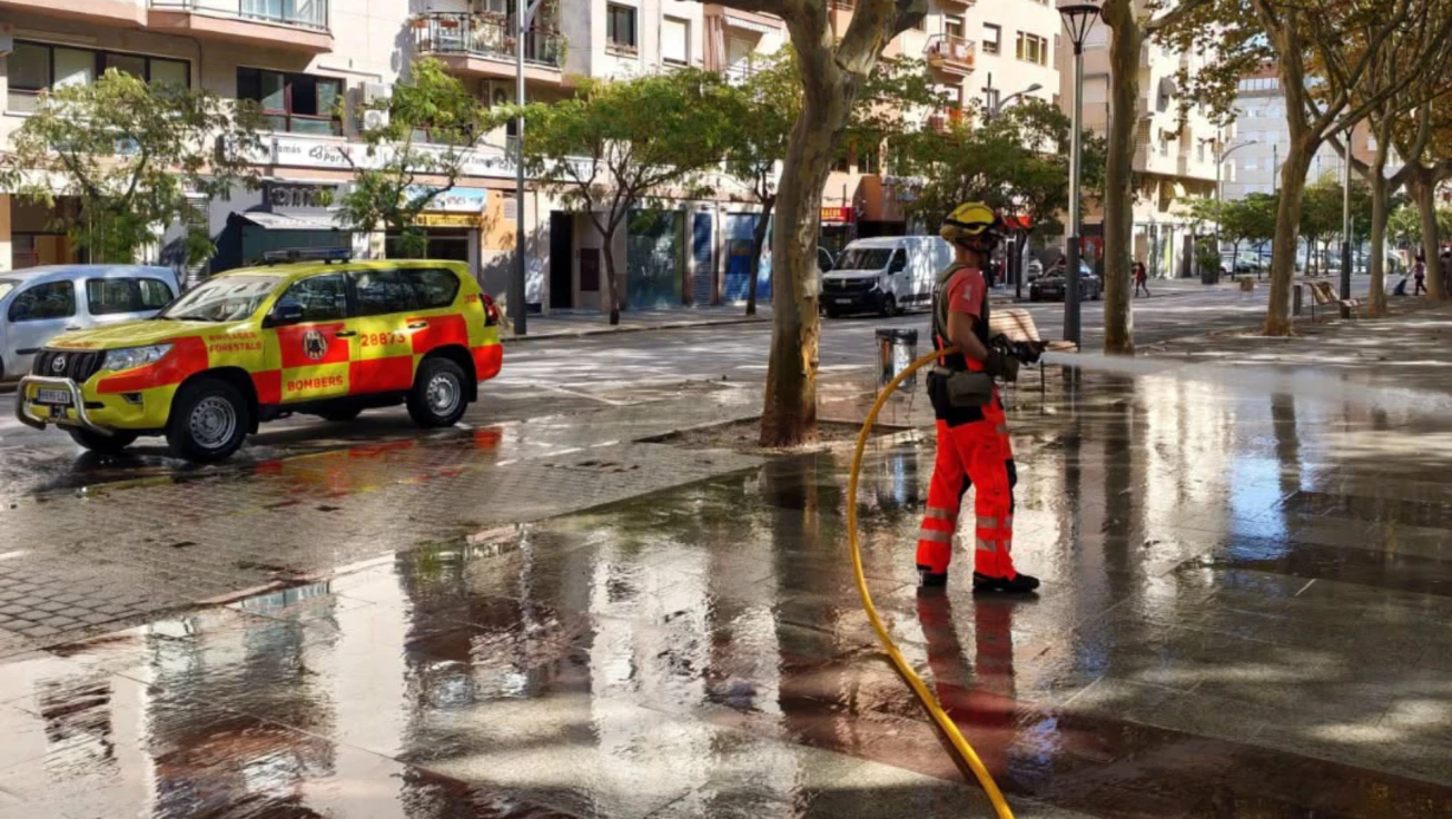 Los bomberos forestales limpian Oliva tras las inundaciones de la DANA