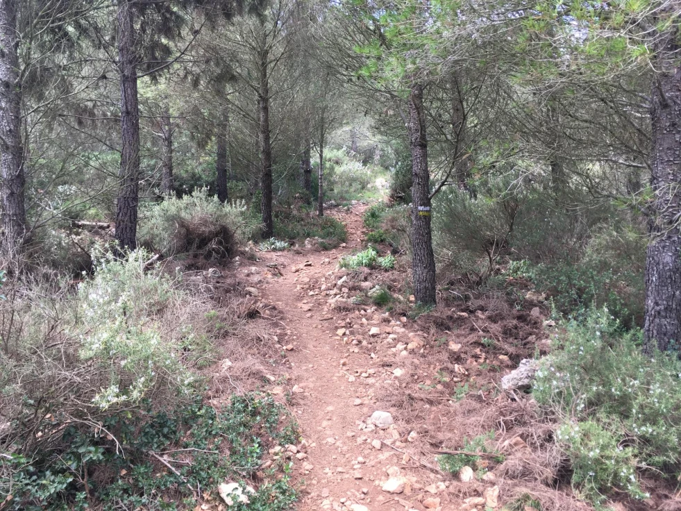 Un rayo provoca un pequeño incendio en una montaña de Tavernes de la Valldigna