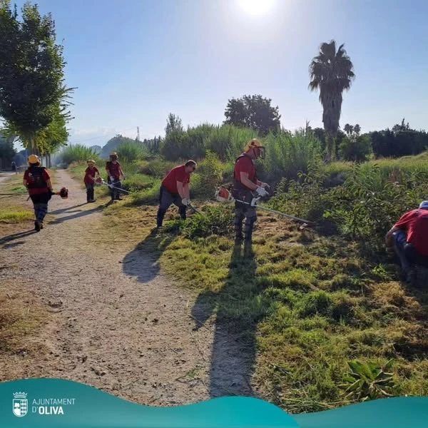 Oliva apuesta por crear empleo y proteger su entorno a través del Taller Aureba II, especializado en jardinería y gestión forestal