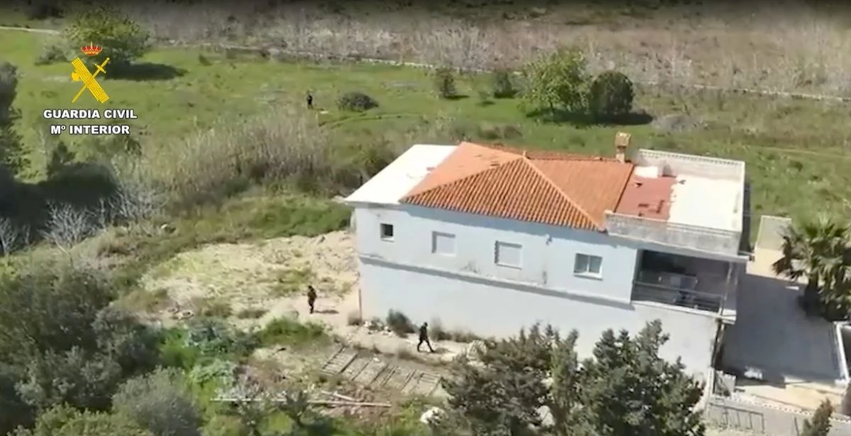 Desmantelada una plantación de marihuana en Oliva