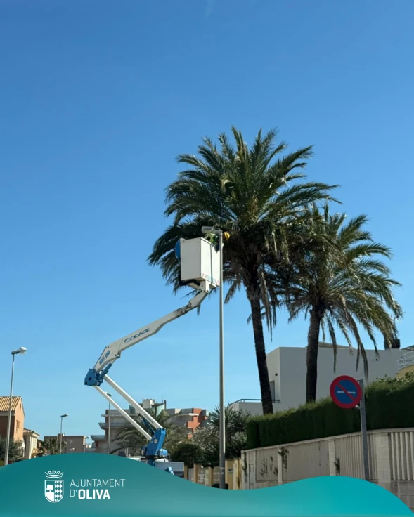 Oliva invierte 1,8 millones en la modernización de su alumbrado público