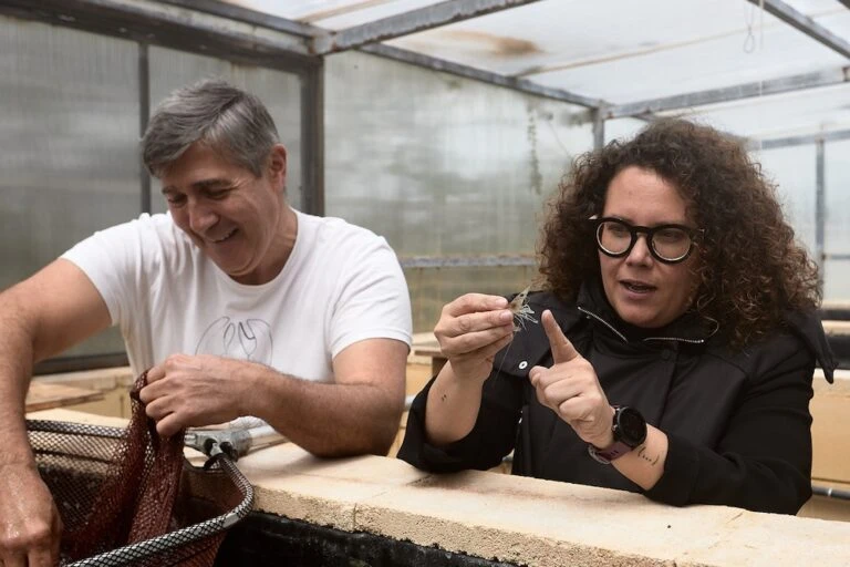 Gandia avanza en la investigación sobre la cría sostenible de la cigala