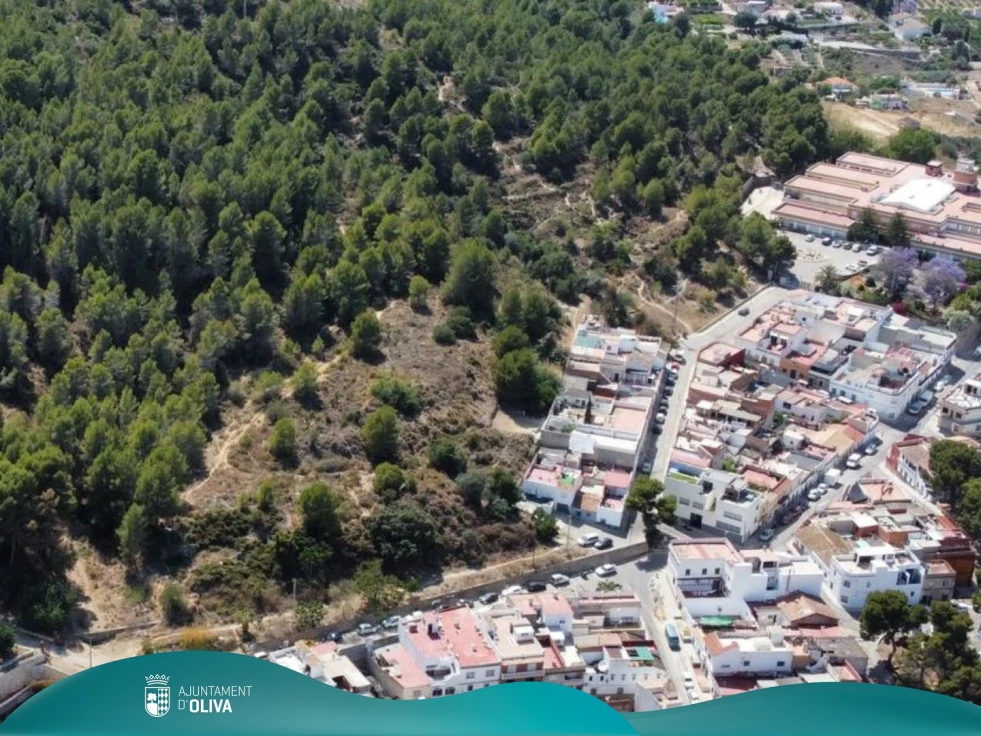 La Diputación de València subvenciona la prevención de incendios forestales en Oliva