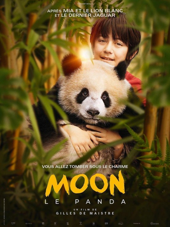 MOON. MI AMIGO PANDA
