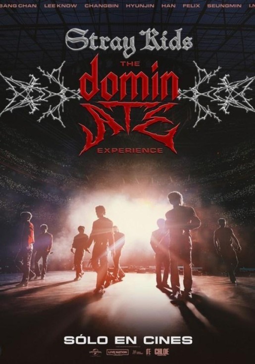STRAY KIDS: THE DOMINATE EXPERIENCE