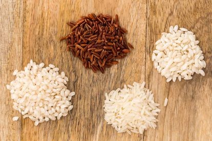 El arroz y sus clases y usos