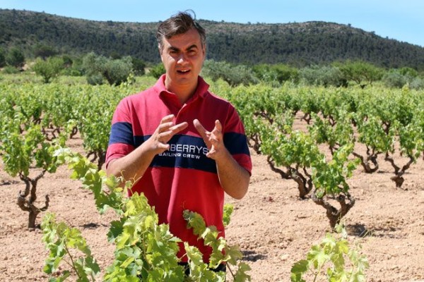 Rafael Cambra y la cultura del vino valenciano