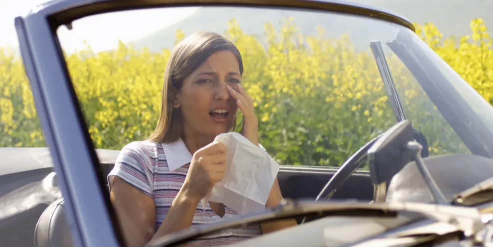 Cuando las alergias toman el volante