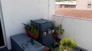 El compostaje en casa