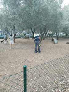 Oliva refuerza la desinfección del parque canino que hay a la entrada al municipio