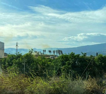 Incendio de vegetación en el barranco de La Navesa en Palma de Gandia