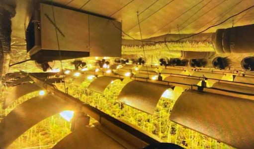 Una operación de la Guardia Civil en Xeresa permite desmantelar una plantación indoor de marihuana