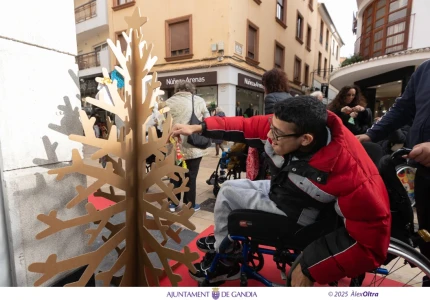 Gandia impulsa una ambientación navideña colaborativa con la instalación de 450 árboles y moquetas en el Centro Histórico