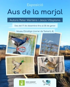 Oliva inaugura la exposición fotográfica 'Aves del marjal', con motivo del 30 aniversario del parque natural del marjal Pego-Oliva