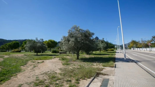 Polémica entre Gobierno y oposición por el Centro Integrado de FP de Gandia