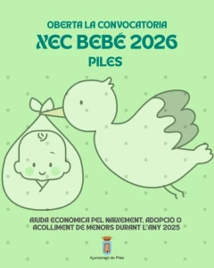 Piles convoca el Cheque Bebé 2026 de ayuda a nacimientos, adopciones y acogidas del año 2025