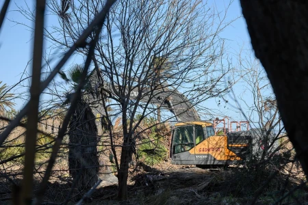 Gandia inicia las obras para que la playa del Auir vuelva a su esencia natural