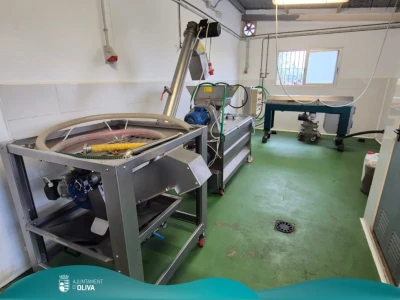 Oliva trabaja en la futura construcción de una almazara municipal tras el aumento de la producción de aceite