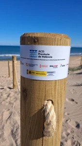 La Diputació de València instala un sistema de protección dunar en las playas de Tavernes y Oliva