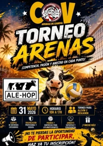 El CV Arenas de Gandia celebra su torneo de cierre de temporada de voley base en el CEIP Joan XXIII