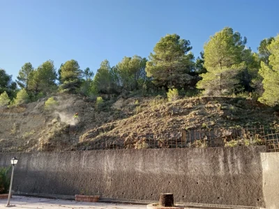 Oliva evalúa sus actuaciones en prevención de incendios